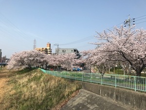image2.jpeg