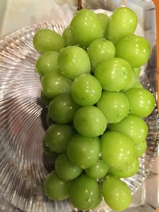 IMG_3277.jpg
