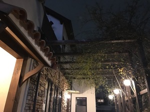 image1.jpeg